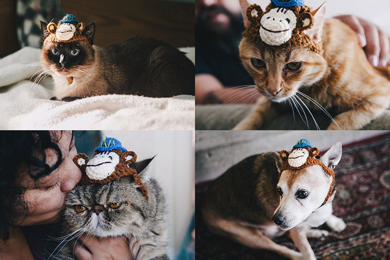 Freddie hat for pets